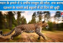 A 5-year-old boy died in a leopard attack, his body was recovered; several schools were closed for two days due to the panic.