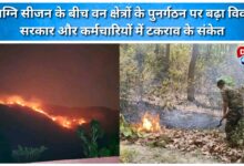 Amid the forest fire season, the controversy over the reorganization of forest areas escalates, signaling a conflict between the government and officials.