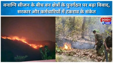 Amid the forest fire season, the controversy over the reorganization of forest areas escalates, signaling a conflict between the government and officials.