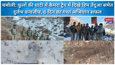 Chamoli Rare wildlife including snow leopard spotted in camera trap in Valley of Flowers, 6-day patrol operation successful