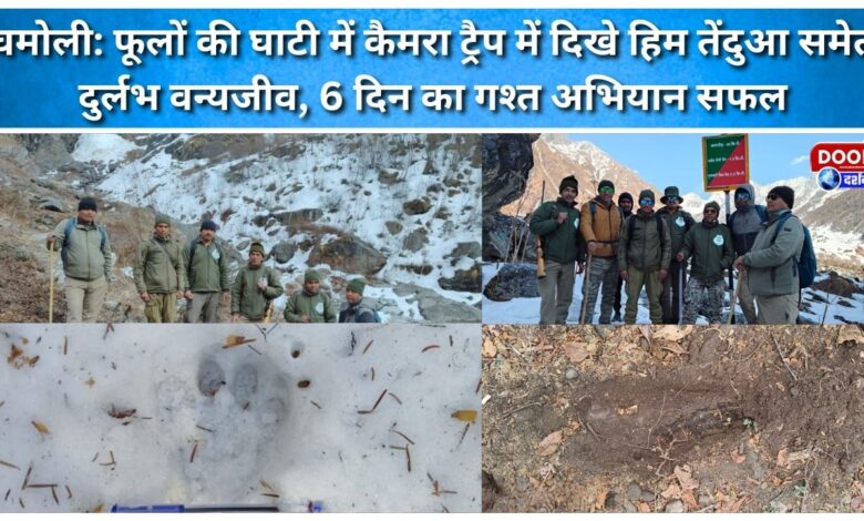 Chamoli Rare wildlife including snow leopard spotted in camera trap in Valley of Flowers, 6-day patrol operation successful