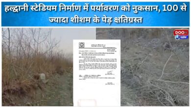 Haldwani stadium construction damages environment, over 100 rosewood trees damaged