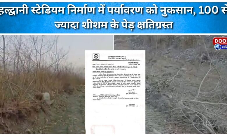 Haldwani stadium construction damages environment, over 100 rosewood trees damaged