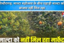 Mountainous Malta is not getting market amidst Malta Festival