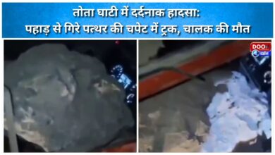 Tragic accident in Tota Valley Truck hit by a stone falling from the mountain, driver dies