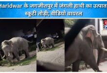 Wild elephant creates havoc in Jagjitpur, Haridwar, breaks scooter; video goes viral