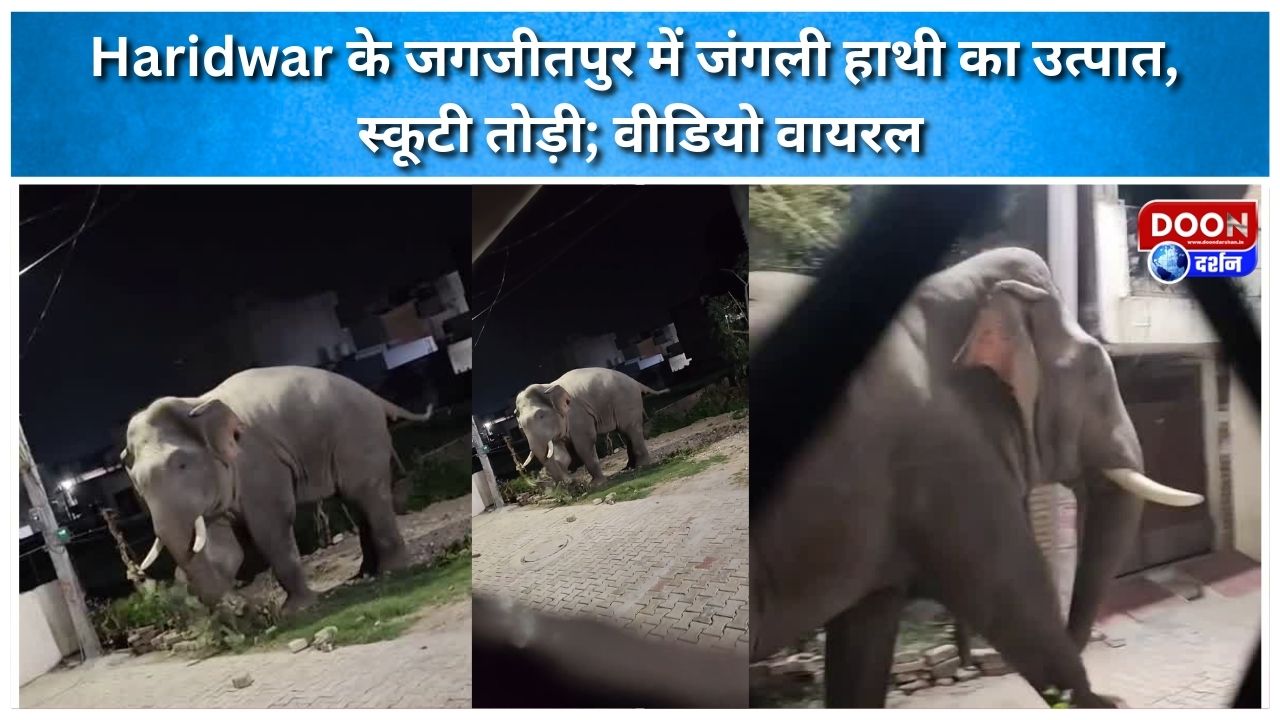 Haridwar के जगजीतपुर में जंगली हाथी का उत्पात, स्कूटी तोड़ी; वीडियो वायरल