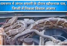 A terrifying moment during a jungle safari in Ramnagar, a huge python was found in a gypsy.