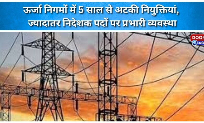 Appointments in energy corporations have been stalled for five years, with most director positions held in charge.