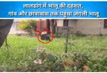 Bear terror in Laldhang, wild bear reached village and hostel