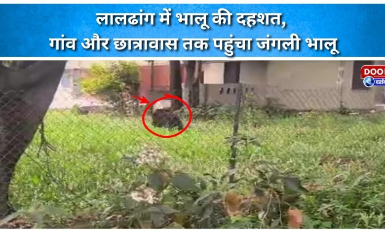 Bear terror in Laldhang, wild bear reached village and hostel