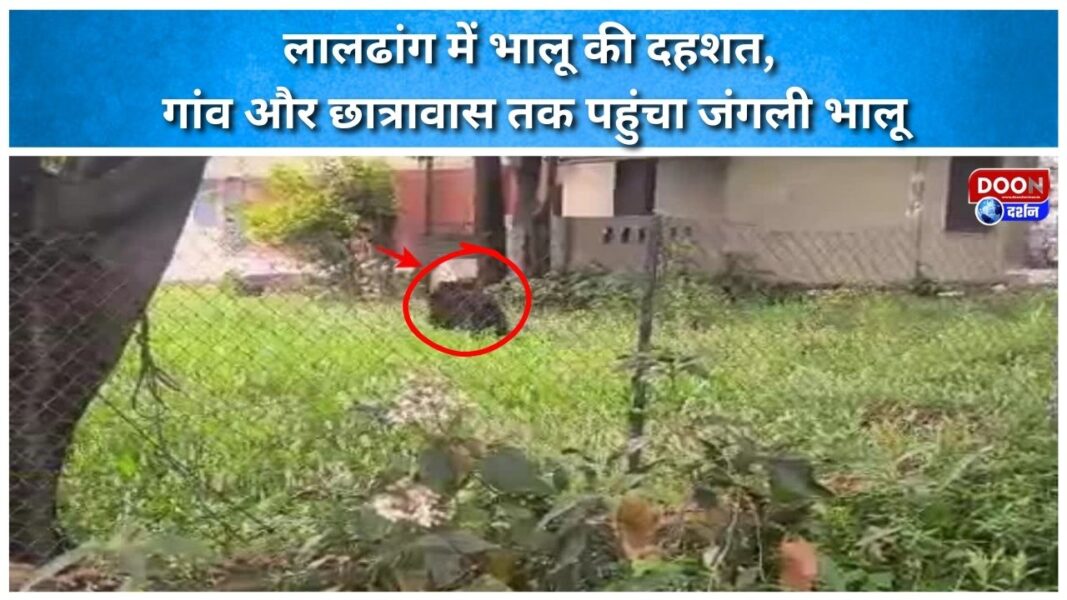 लालढांग में भालू की दहशत, गांव और छात्रावास तक पहुंचा जंगली भालू