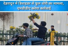Case of theft of flowers from divider in Dehradun, MDDA will take action