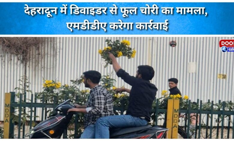 Case of theft of flowers from divider in Dehradun, MDDA will take action