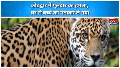 Leopard attacks in Kotdwar, kidnaps child from home