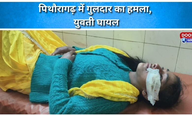 Leopard attacks in Pithoragarh, girl injured