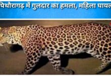Leopard attacks in Pithoragarh, woman injured