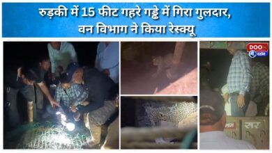 Leopard falls into 15-feet deep pit in Roorkee, rescued by forest department