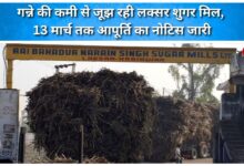 Luxor Sugar Mills faces shortage of sugarcane, issues supply notice till March 13