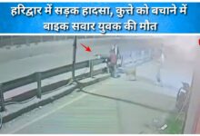 Road accident in Haridwar, bike rider dies while trying to save a dog