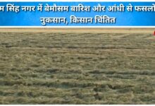 Unseasonal rain and storm damage crops in Udham Singh Nagar, farmers worried