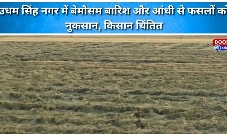 Unseasonal rain and storm damage crops in Udham Singh Nagar, farmers worried