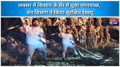 A crocodile entered a farmer's enclosure in Luxor, and the forest department safely rescued it.