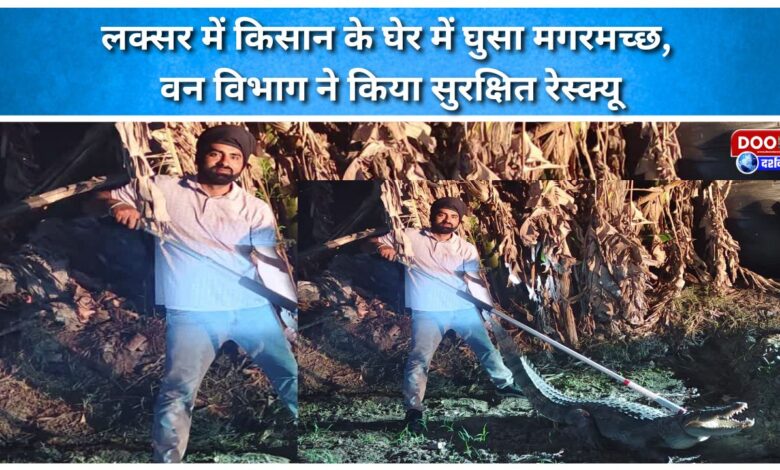 A crocodile entered a farmer's enclosure in Luxor, and the forest department safely rescued it.