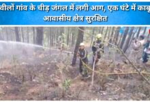 A fire broke out in the pine forest of Gwilon village, which was brought under control within an hour; residential areas were safe.