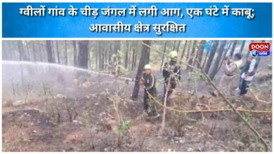 A fire broke out in the pine forest of Gwilon village, which was brought under control within an hour; residential areas were safe.