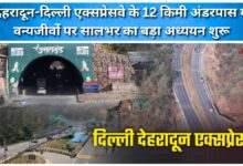 A major year-long wildlife study begins at the 12-km underpass on the Dehradun-Delhi Expressway.