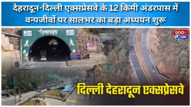 A major year-long wildlife study begins at the 12-km underpass on the Dehradun-Delhi Expressway.