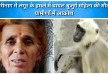 Elderly woman injured in a monkey attack in Berinag dies, villagers angry