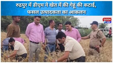 In Rudrapur, the DM harvested wheat in the field and assessed crop productivity.