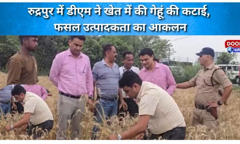 In Rudrapur, the DM harvested wheat in the field and assessed crop productivity.