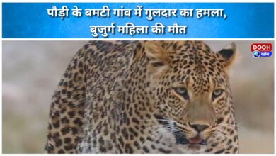 Leopard attacks Bamti village in Pauri, elderly woman dies