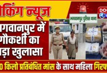 Major cow slaughter case in Bhagwanpur, woman arrested with 350 kg of banned meat