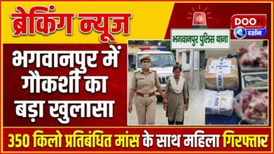 Major cow slaughter case in Bhagwanpur, woman arrested with 350 kg of banned meat