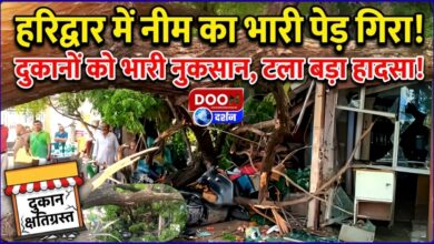 Neem tree falls in Haridwar, shops damaged, major accident averted