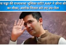 Raghav Chadha's Rajya Sabha role reduced AAP snatched the opportunity to speak, Ashok Mittal became the new deputy leader