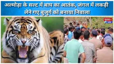 Tiger terror in Salt, Almora; elderly man who went to collect wood in the forest was killed.