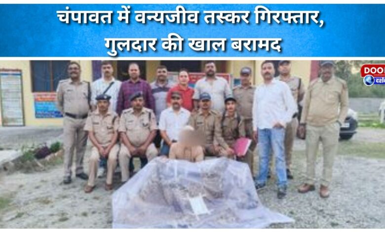Wildlife smuggler arrested in Champawat, leopard skin recovered