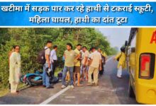 A scooter collided with an elephant crossing the road in Khatima, injuring a woman and breaking the elephant's tusk.