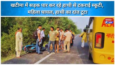 A scooter collided with an elephant crossing the road in Khatima, injuring a woman and breaking the elephant's tusk.