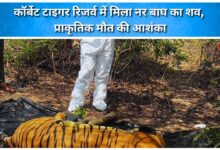 Carcass of male tiger found in Corbett Tiger Reserve, suspected to be a natural death