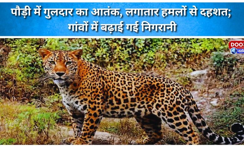 Leopard terror in Pauri, constant attacks create panic; surveillance in villages increased