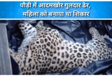 Man-eating leopard killed in Pauri, had targeted a woman