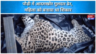 Man-eating leopard killed in Pauri, had targeted a woman