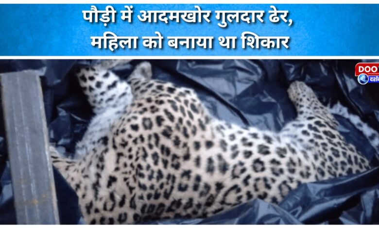 Man-eating leopard killed in Pauri, had targeted a woman