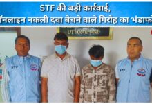 STF takes major action, busts gang selling fake medicines online